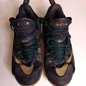 Nike Lebron 12 Low Carbon Fiber Basketball Shoes